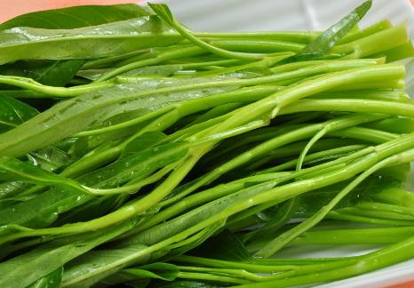 空心菜的營養(yǎng)價(jià)值-空白菜的功效與作用