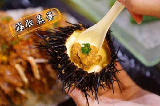 海膽的營(yíng)養(yǎng)價(jià)值-海膽的種類有哪些?