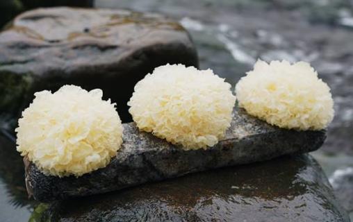 吃銀耳有什么好處?銀耳的營養(yǎng)價值和食療功效