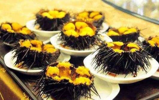 海膽的營(yíng)養(yǎng)價(jià)值-海膽的種類有哪些?