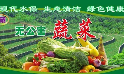 什么是有機(jī)蔬菜?綠色蔬菜?無(wú)公害蔬菜?三者有什么區(qū)別