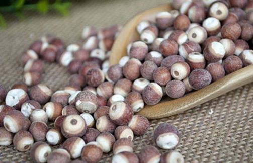 秋冬季適合多吃芡實(shí) 秋冬季吃芡實(shí)有哪些益處