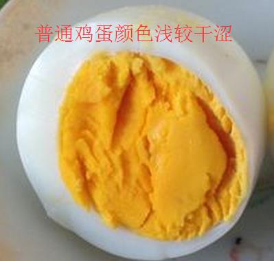土雞蛋與普通雞蛋有什么區(qū)別 土雞蛋與普通雞蛋營養(yǎng)價(jià)值對(duì)比分析