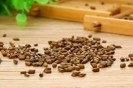 決明子茶可以長(zhǎng)期喝嗎?決明子茶有哪些功效?