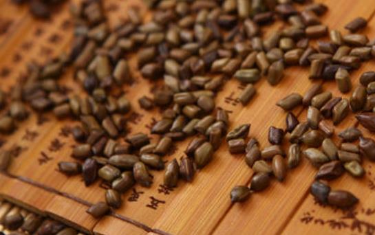決明子茶可以長(zhǎng)期喝嗎?決明子茶有哪些功效?