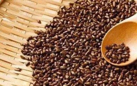 決明子有哪些作用?決明子做枕頭有哪些好處?