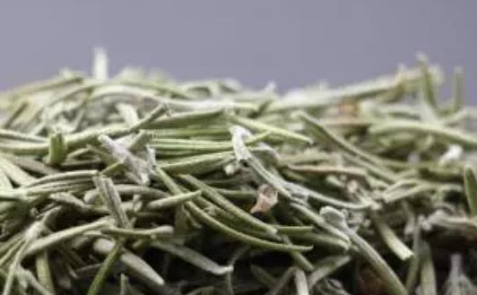 什么是迷迭香茶?迷迭香茶適合長期喝嗎?
