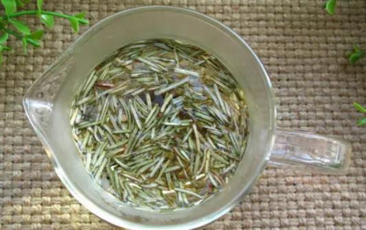 什么是迷迭香茶?迷迭香茶適合長期喝嗎?