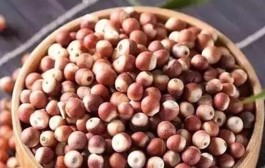 芡實(shí)是什么?芡實(shí)可以用來泡水喝嗎?