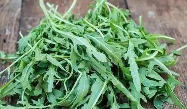 芝麻菜長(zhǎng)什么樣子的圖片 芝麻菜有哪些功效與作用