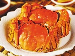 如何挑選陽澄湖大閘蟹？大閘蟹是母蟹好還是公蟹好