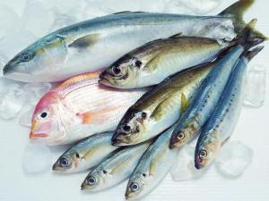如何區(qū)別冰鮮魚與速凍魚？鑒別海鮮干品質量好壞方法