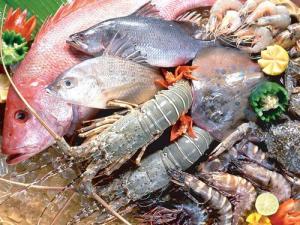 如何挑選新鮮海鮮？如何選購新鮮的魚蝦蟹
