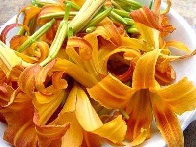 如何預(yù)防鮮黃花菜中毒?鮮黃花菜的制作方法,黃花菜的營養(yǎng)價值