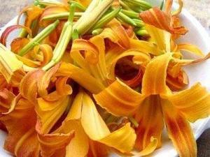 如何預(yù)防鮮黃花菜中毒？鮮黃花菜的制作方法