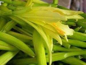 黃花菜怎么做好吃？黃花菜的吃法