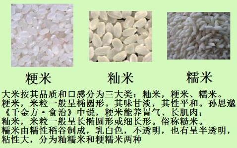 如何鑒別糯米中摻有大米?糯米和大米的區(qū)別