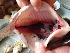 怎么去除手上的魚(yú)腥味？手上的魚(yú)腥味去除方法
