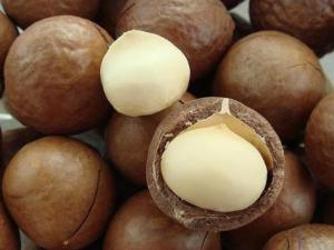 夏威夷果怎么開？吃夏威果的注意事項(xiàng)