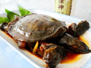 甲魚怎么做好吃？甲魚的做法與技巧