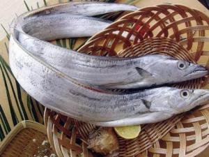 如何挑選帶魚？怎樣辨別帶魚的好壞