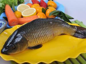 如何烹飪鯉魚？鯉魚怎么做好吃