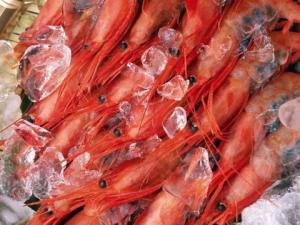 如何選購(gòu)冷凍食品？食品冷凍別超過兩個(gè)月