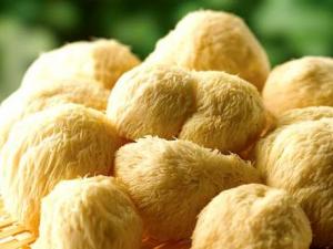 如何泡發(fā)猴頭菇？猴頭菇的泡發(fā)小竅門