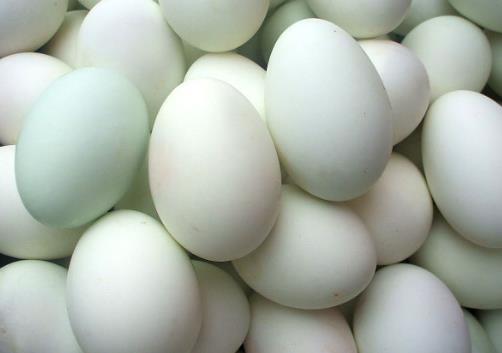 αeR(sh)eķ