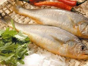 如何辨別染色黃魚？辨別染色黃魚的方法
