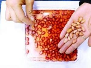 如何鑒別染色花生米？怎樣識別真假花生米
