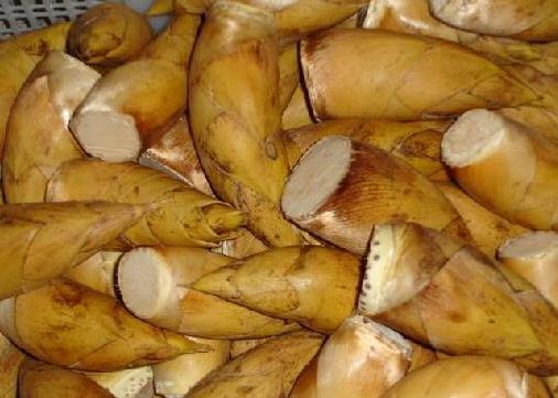 冬筍怎么做好吃?冬筍怎么吃最有營養(yǎng)