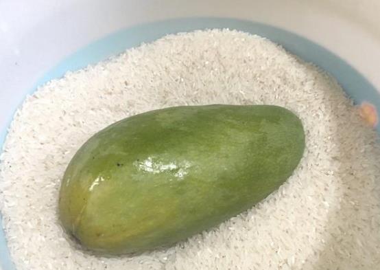 大青芒果硬的能直接吃嗎 怎么辨別青芒果熟沒熟 催熟青芒果妙招