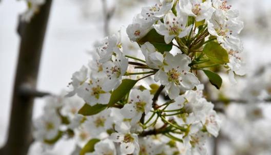 夏天是幾月到幾月 2021年全國(guó)高溫補(bǔ)貼是哪幾個(gè)月