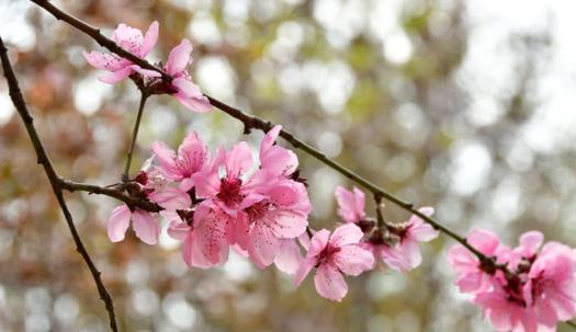 夏天是幾月到幾月 2021年全國(guó)高溫補(bǔ)貼是哪幾個(gè)月