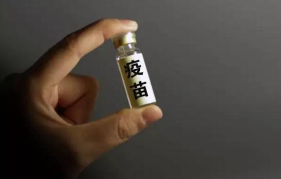 新冠疫苗三針的疫苗優(yōu)于兩針的嗎?新冠疫苗2針和3針有什么區(qū)別?