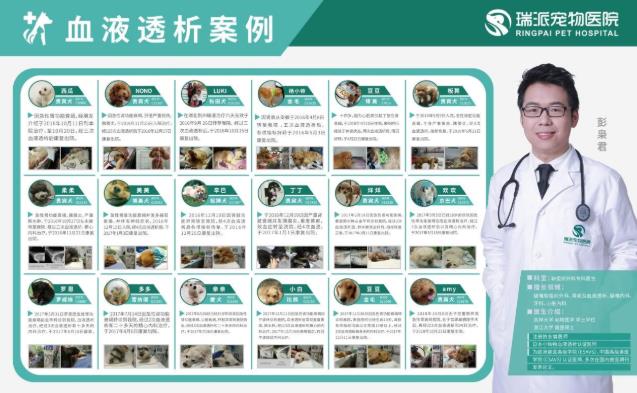 杭州瑞派虹泰,一家26年歷史的靠譜杭州寵物醫(yī)院收費(fèi)是怎樣的