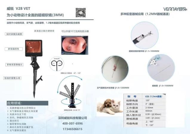 杭州瑞派虹泰,一家26年歷史的靠譜杭州寵物醫(yī)院收費(fèi)是怎樣的