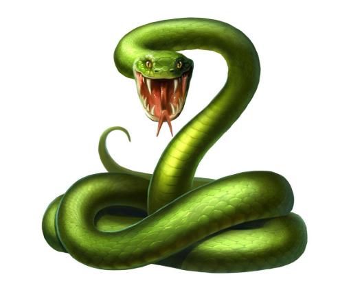 床上有條蛇是什么預(yù)兆?如何預(yù)防家里進(jìn)蛇?