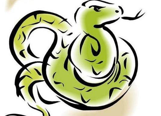 蛇會(huì)主動(dòng)咬熟睡的人嗎?家里有蛇怎么驅(qū)趕出去?