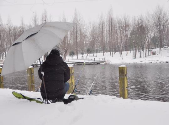 下雪天釣魚要注意什么?下雪天怎么釣魚?