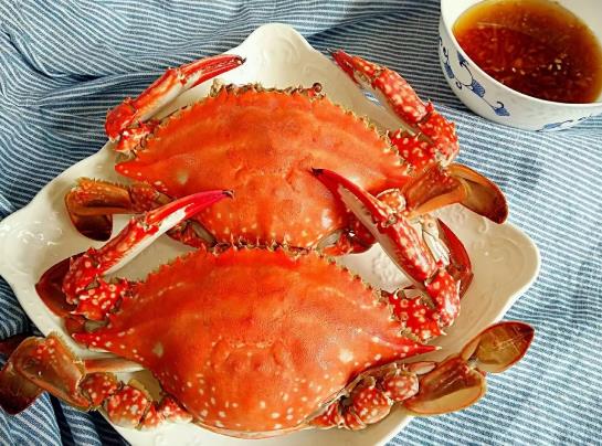 螃蟹放水里怎么養(yǎng)?買回來的螃蟹放水里面好還放外面好?