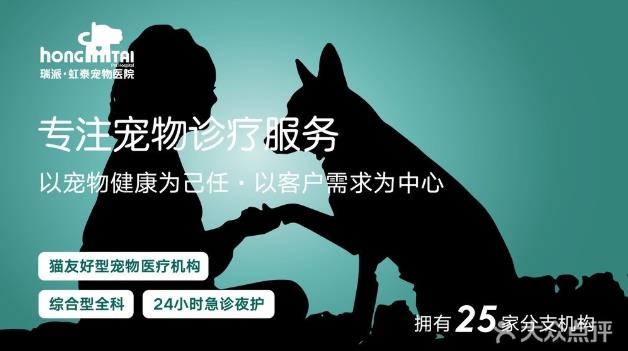 杭州貓友好型+24小時(shí)寵物醫(yī)院,有家,有愛(ài),有虹泰。