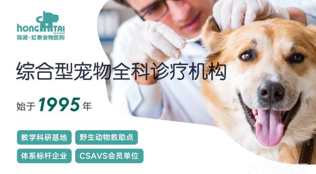 杭州貓友好型+24小時(shí)寵物醫(yī)院,有家,有愛(ài),有虹泰。