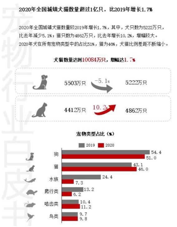 杭州貓友好型+24小時(shí)寵物醫(yī)院,有家,有愛(ài),有虹泰。
