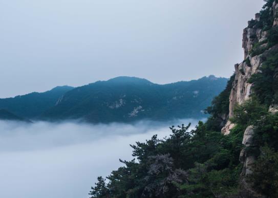 行程卡是根據(jù)什么定位的?行程卡能看到什么時(shí)間到達(dá)某地的嗎