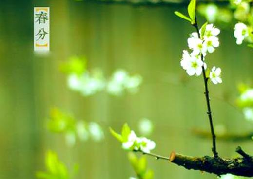 春分前后適合結(jié)婚的日子有哪些?春分前后適合搬家的日子有幾天