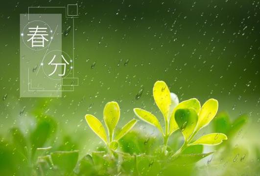 春分前后適合結(jié)婚的日子有哪些?春分前后適合搬家的日子有幾天