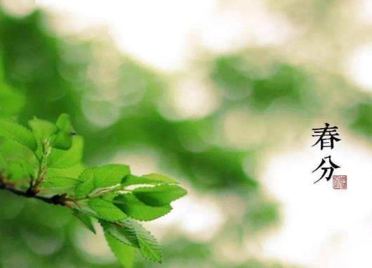 春分立雞蛋有什么說(shuō)法?春分雞蛋為什么能立起來(lái)