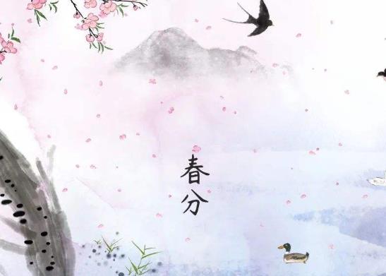 春分立雞蛋有什么說(shuō)法?春分雞蛋為什么能立起來(lái)
